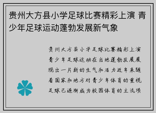 贵州大方县小学足球比赛精彩上演 青少年足球运动蓬勃发展新气象